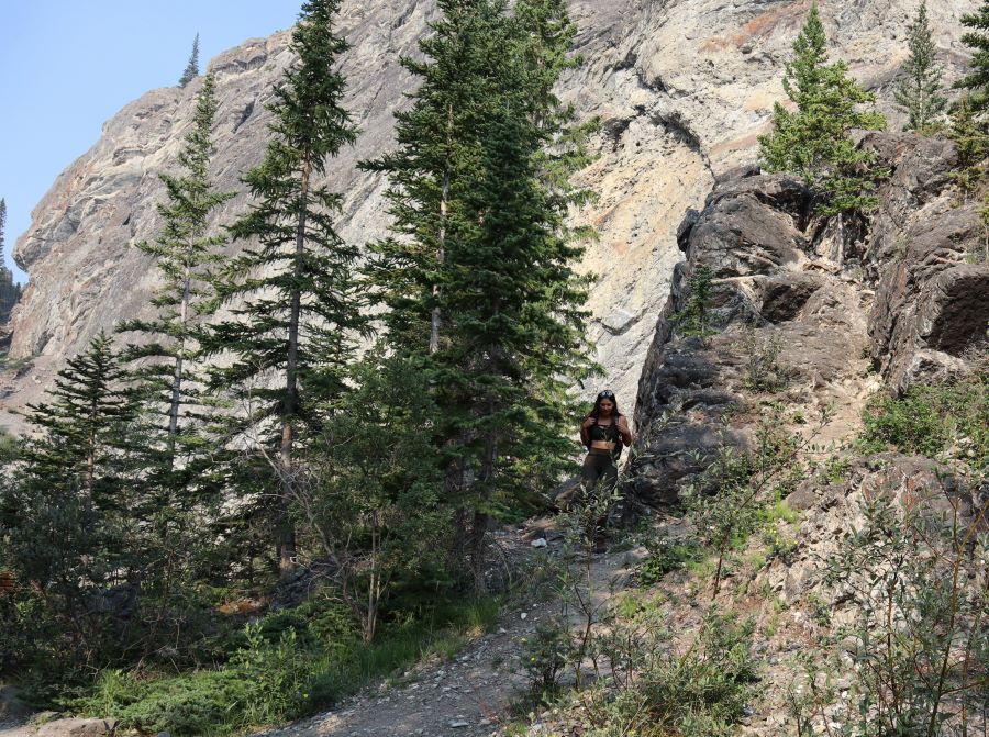 A picture containing a hiker hiking down a steep rocky trail in between the side of a mountain and a gathering of pine trees and behind them is a mountain landscape and clear blue sky