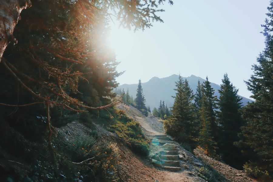 Ha Ling Peak rocky trail with stone stairs, pine trees, and a sun flare, pictured right before hikers reach the saddle of Ha Ling Peak summit