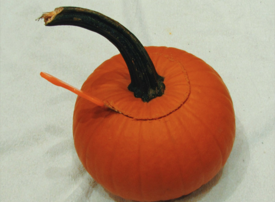 pumpkin carving