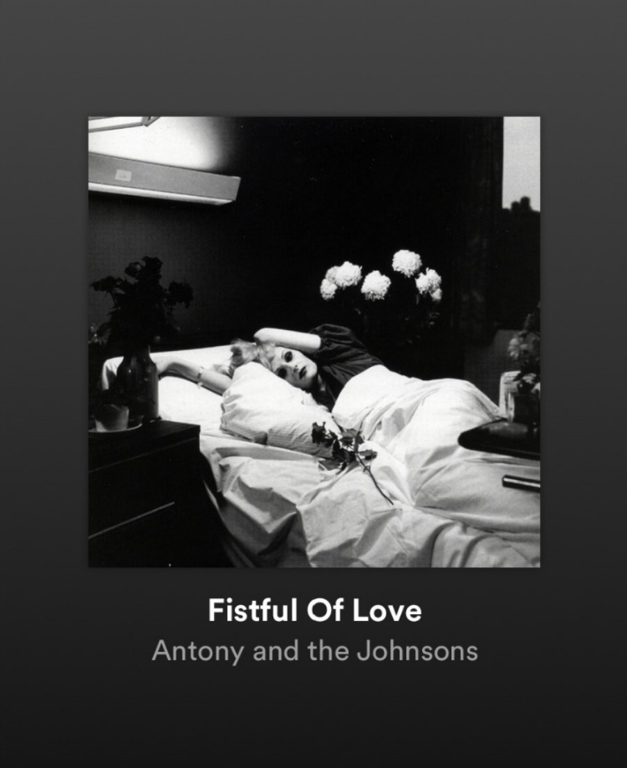 Antony and the Johnsons