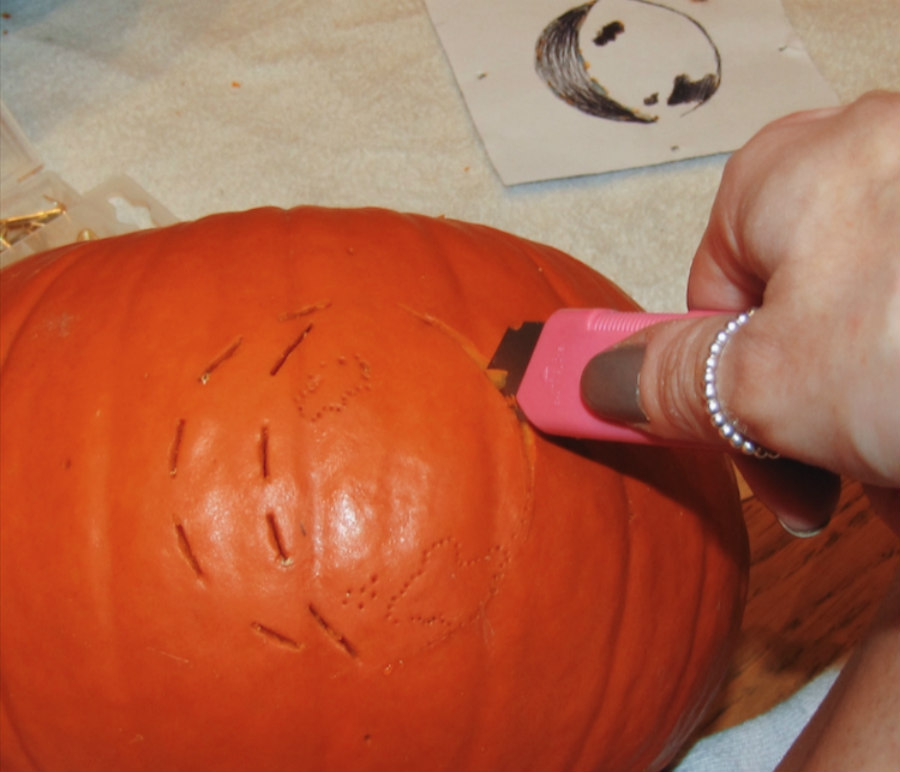 moth meme pumpkin