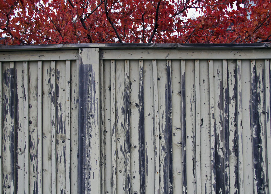 Mindfulness in Autumn