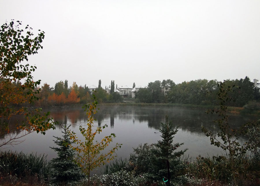 Mindfulness in Autumn