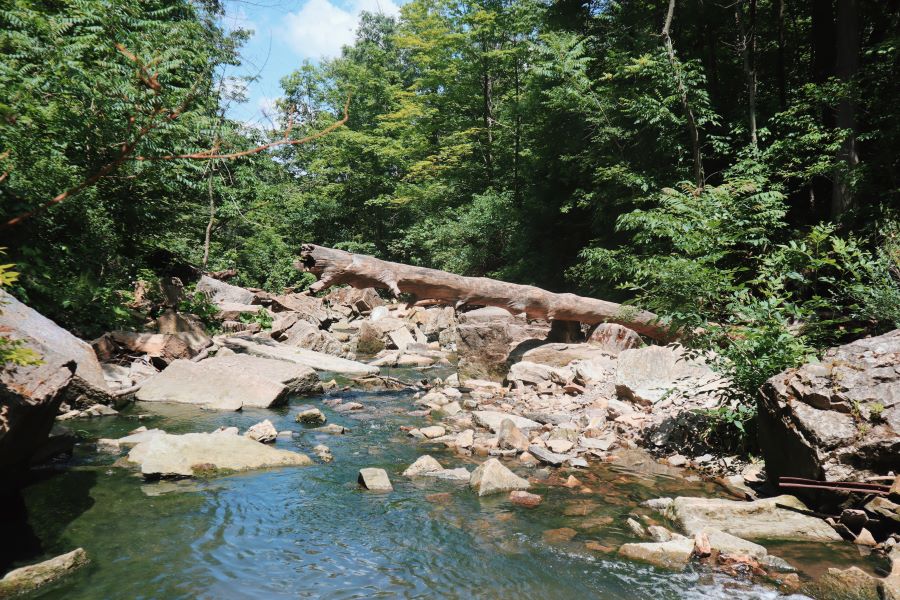 riverbed near waterfall along Bruce Trail in Ontario, Canada