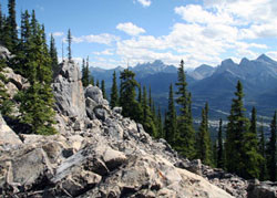 Rocky view from the trail of Mount Lady MacDonald near Canmore, AB.
