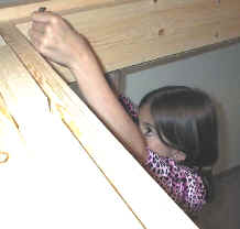 bunk bed