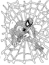 spiderman coloring page