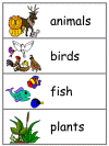 Word Wall Words