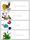 Word Wall Words