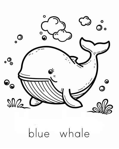 endangered animal coloring page of a blue whale