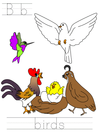 earth day Bb birds tracer page