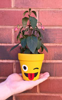 Goofy Emoji Plant Pot Craft