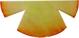 coffee filter