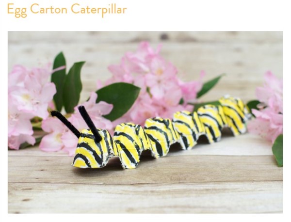egg carton monarch caterpillar