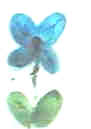 fingerprint flowers