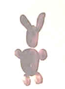 fingerprint rabbit