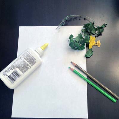 supplies for collage