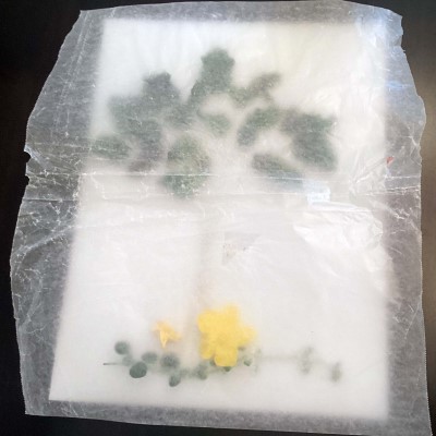 cover with waxed paper