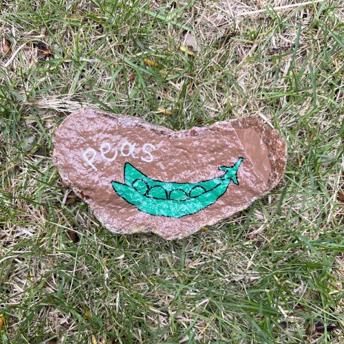 pea rock