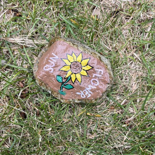 sunflower rock
