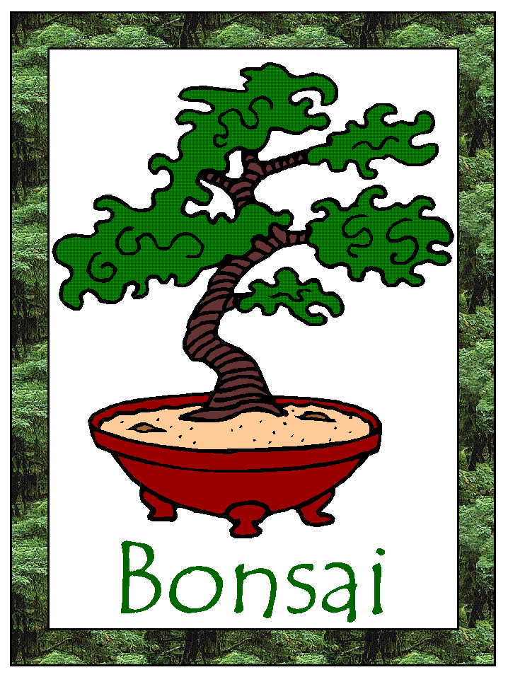bonsai coloring page