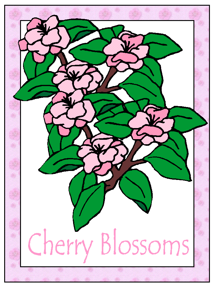 cherry blossoms coloring page